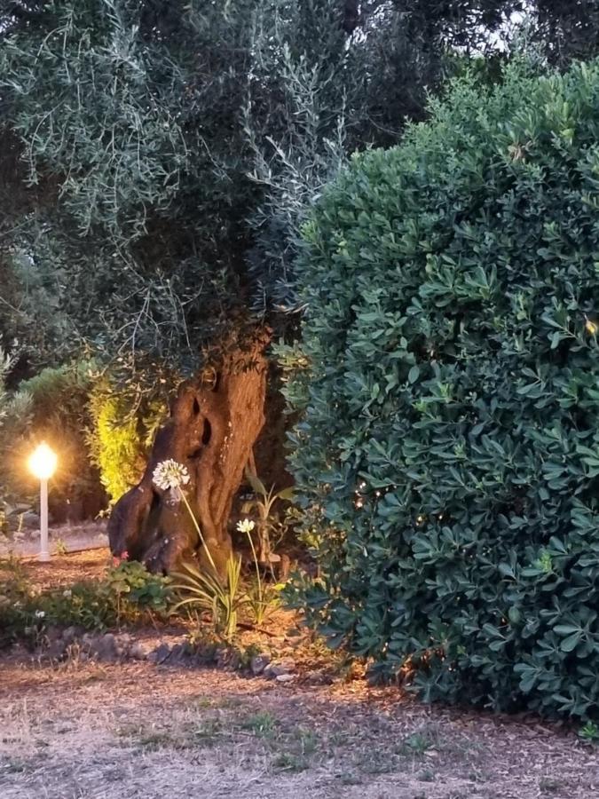 Cozy Corfu Bungalow 5 Minutes To Aqualand Ágios Ioánnis Dış mekan fotoğraf