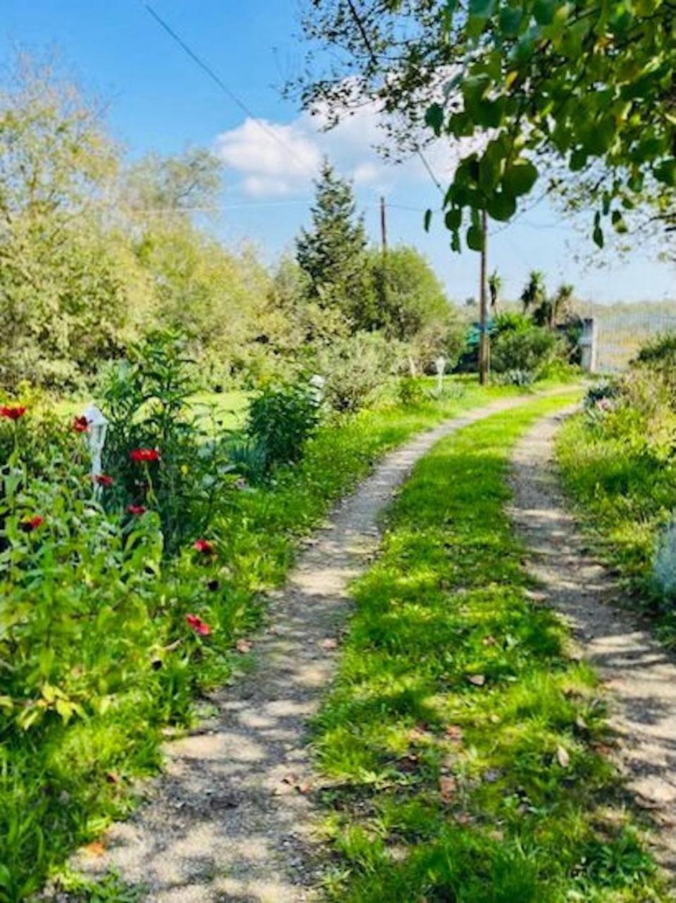 Cozy Corfu Bungalow 5 Minutes To Aqualand Ágios Ioánnis Dış mekan fotoğraf